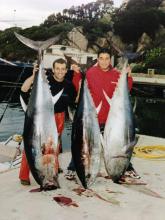 Pesca Turismo a Santa Teresa Gallura - Il Pesce Fresco